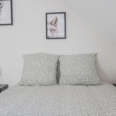 Duplex Au Coeur De - 2 * Reims